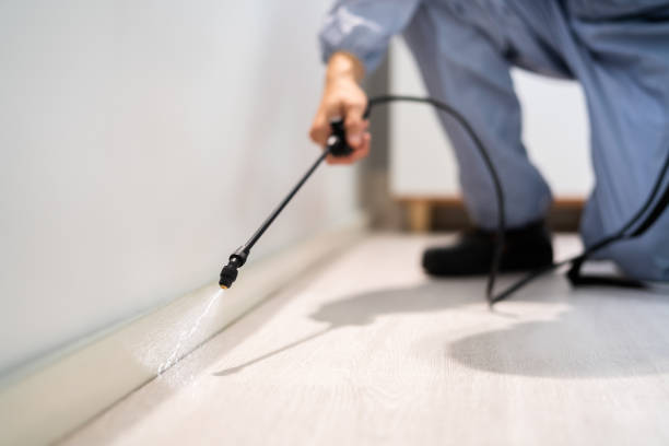 Licensed Mosquito Control service in Harlan, IN - Show Me Pest Control