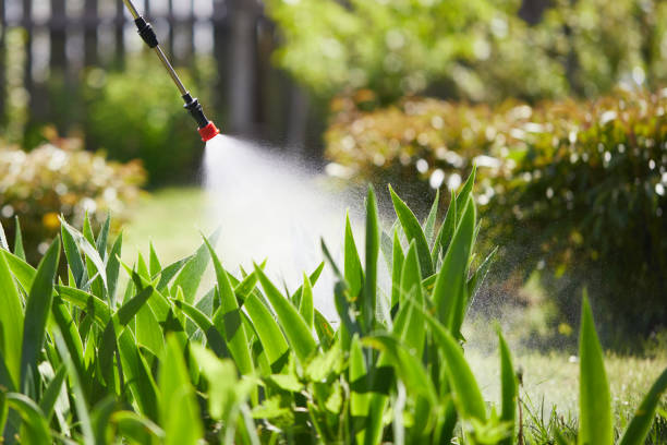 24/7 Emergency Mosquito Control experts in Harlan, IN